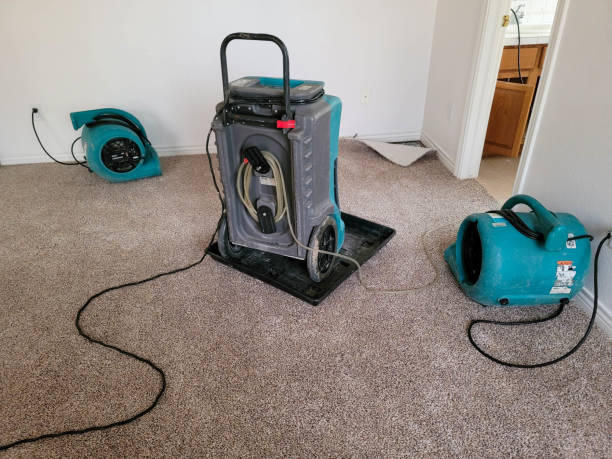 Best Water damage restoration company  in Corsicana, TX