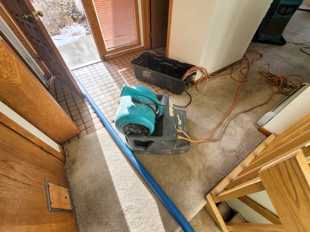 Best Commercial water damage restoration  in Corsicana, TX