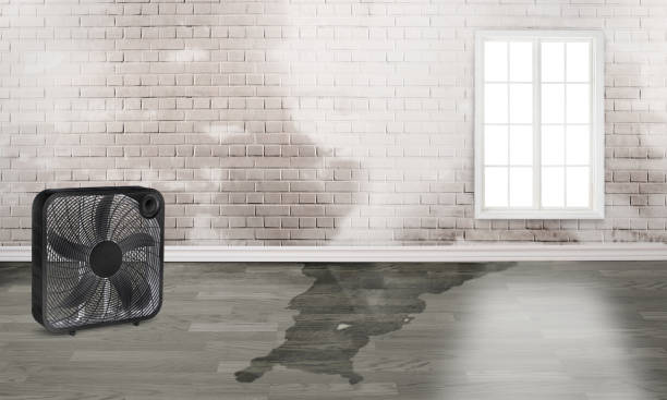 Best Commercial water damage restoration  in Corsicana, TX