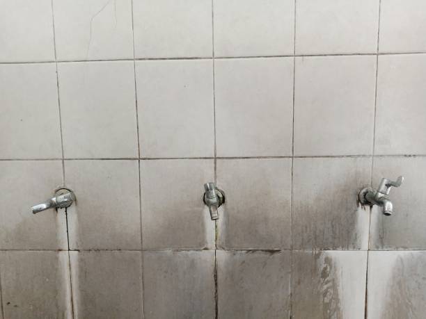 Best Sewage cleanup and water damage restoration  in Corsicana, TX